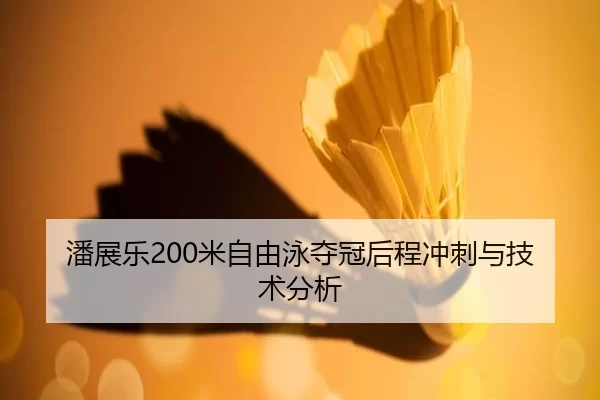 潘展乐200米自由泳夺冠后程冲刺与技术分析